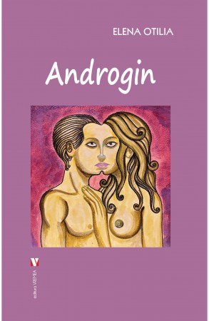 Androgin